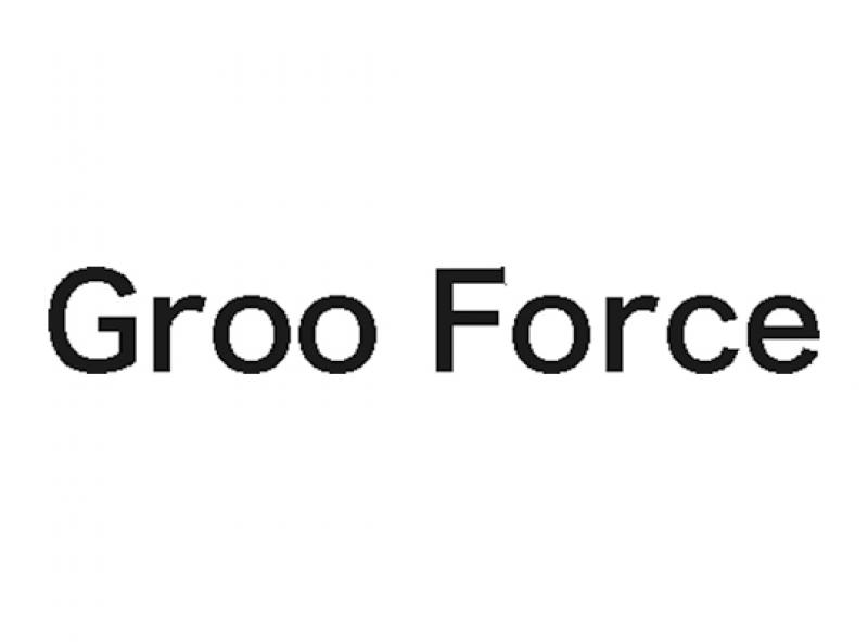 Groo Force